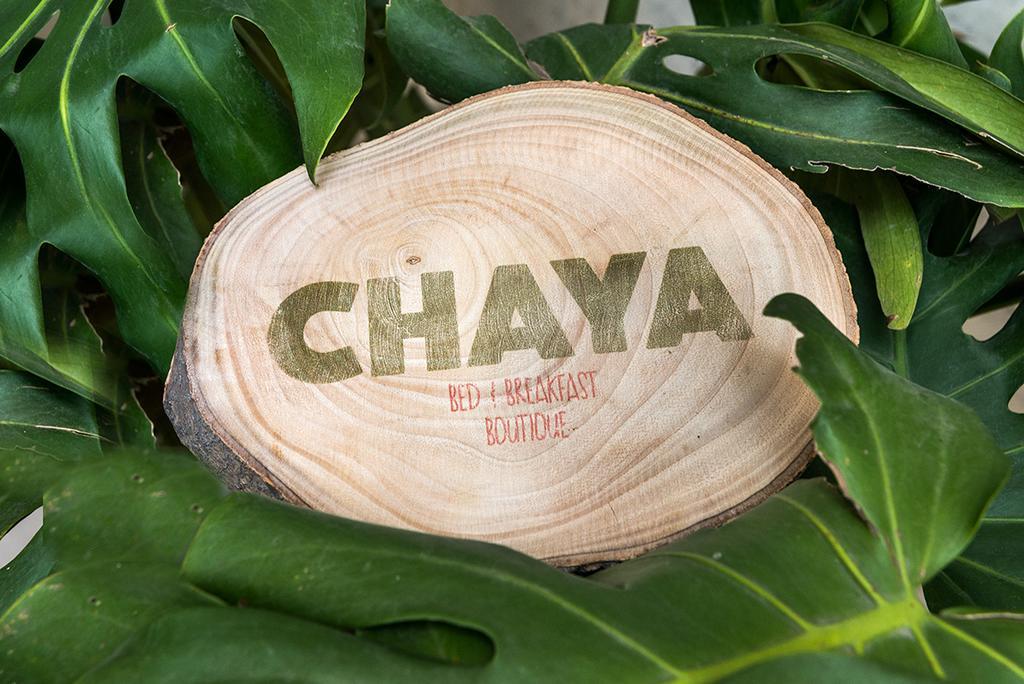 Chaya B&B Boutique Mexico-stad Kamer foto