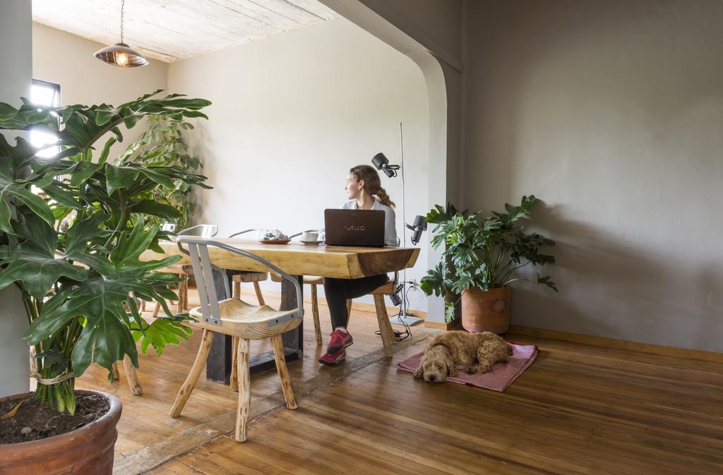 Chaya B&B Boutique Mexico-stad Buitenkant foto
