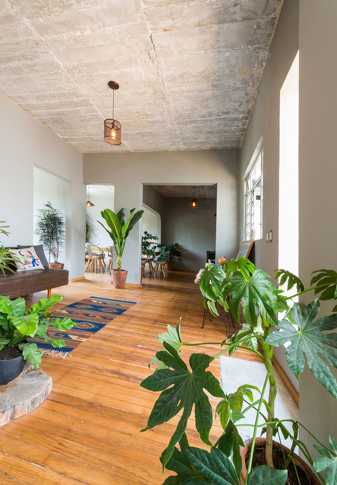 Chaya B&B Boutique Mexico-stad Buitenkant foto