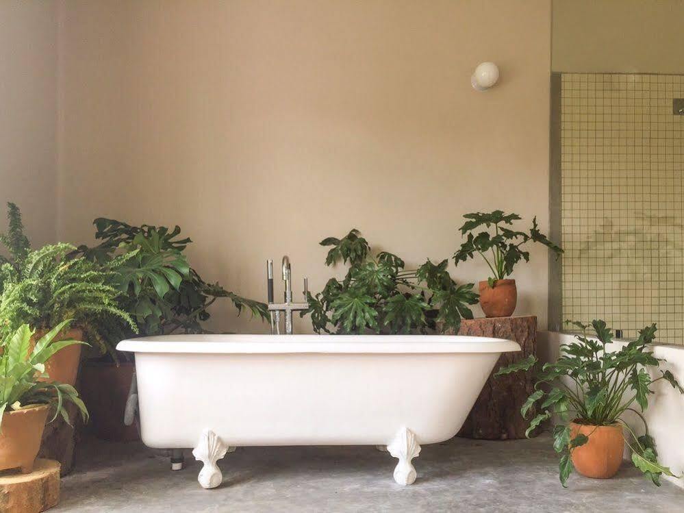 Chaya B&B Boutique Mexico-stad Buitenkant foto